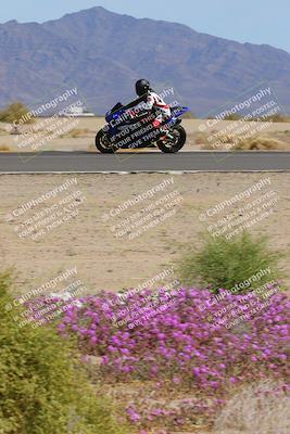 media/Mar-12-2023-SoCal Trackdays (Sun) [[d4c8249724]]/Turn 15 Inside Bloom (130pm)/